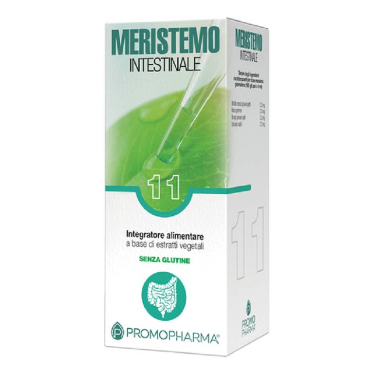 MERISTEMO 11 INTESTINALE 100ML